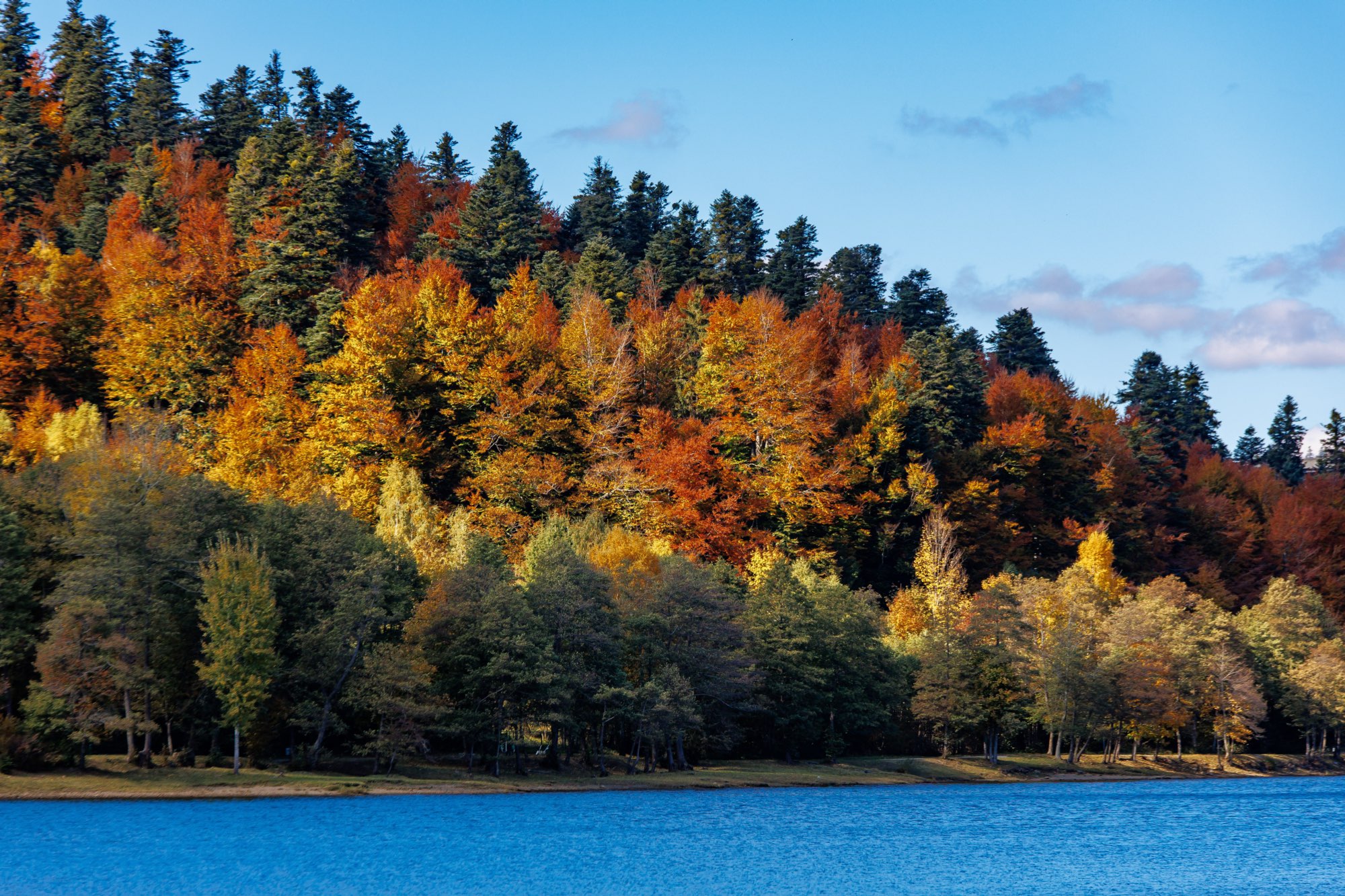 The untouched nature of Gorski Kotar and Lake Bajer at its most peaceful.
